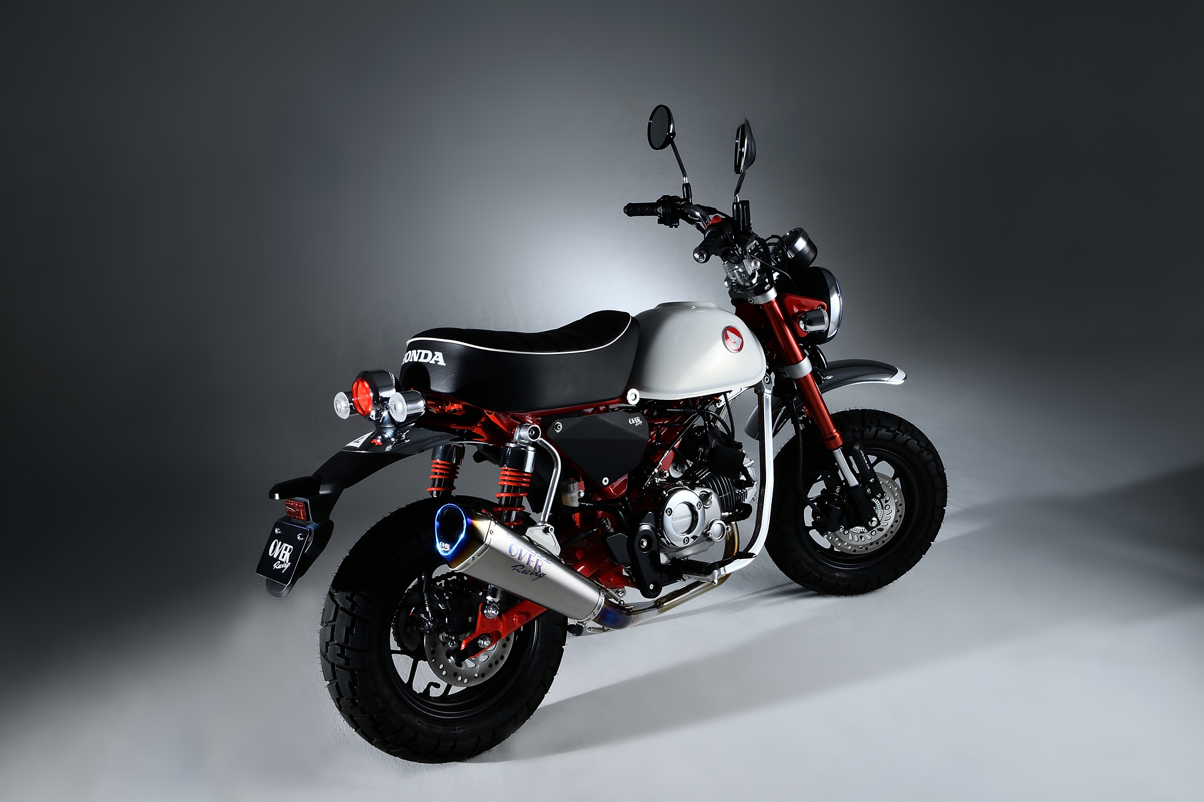 Monkey125`25